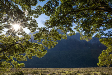 The Mirror Pools, near Milford Sound, South Island, New Zealand
