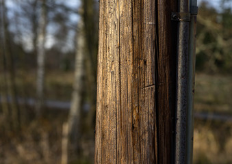 telephone pole