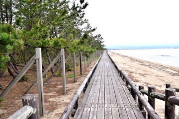 Fototapeta premium 氷見市海浜植物園 海浜散策路