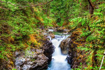 Fototapeta premium Little Qualicum Falls on Vancouver Island, Canada