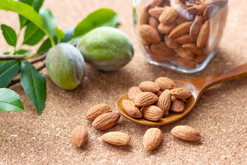 アーモンド　未熟果実