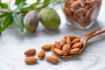 アーモンド　未熟果実