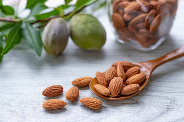 アーモンド　未熟果実