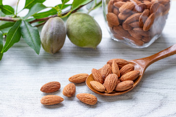 アーモンド　未熟果