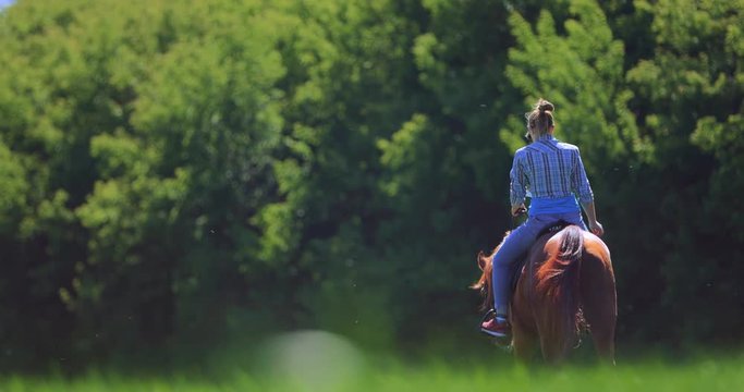 Girl riding a horse in a field goes into the distance towards the forest. Slow motion