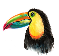 Watercolor painting of a toucan bird