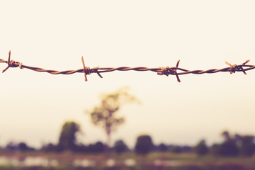 Abstract barbed wire with the sky background