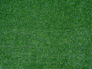 Obraz premium Artificial Grass