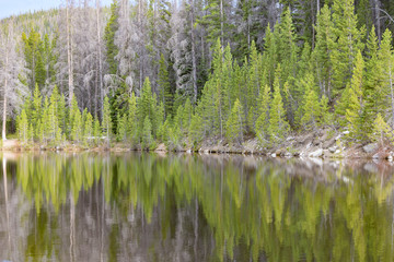 Colorado Mountain Lake