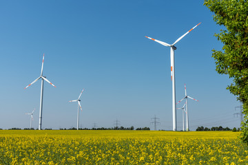 Wind power plants in a field of blooming oilseed rape seen in rural Germany