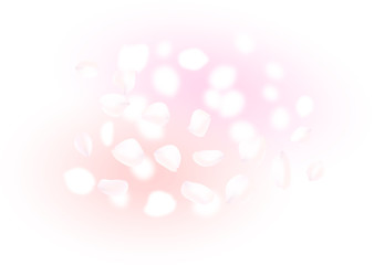 フラワーシャワー