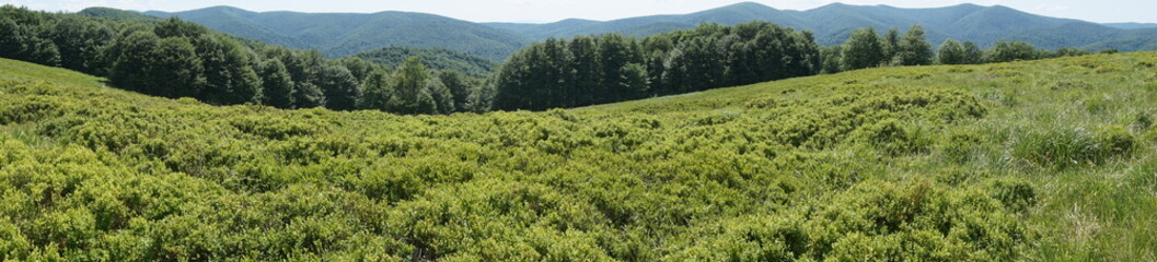 Fototapeta premium Bieszczady mountains - panorama/ panoramic photograph