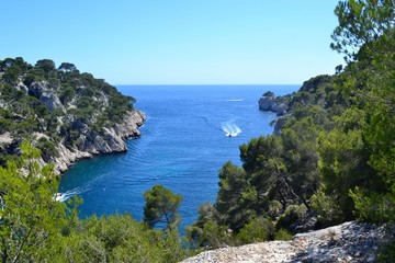 Cassis