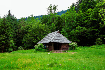 Old wooden hut on a green mountain meadow