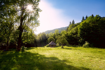 Sun illuminates an old wooden hut on a mountain meadow