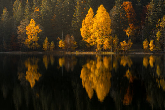 Fototapeta Beautiful sunset light on the shore of mountain lake during an autumn day. Trees in colors of fall