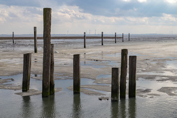 Dalben im Spiekerooger Hafen bei Eisgang im Winter