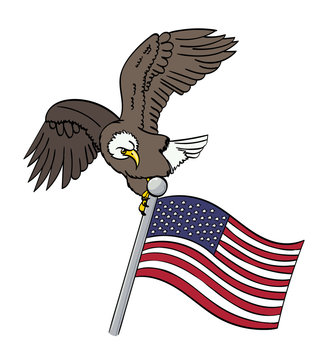 Bald Eagle landing on an American Flag