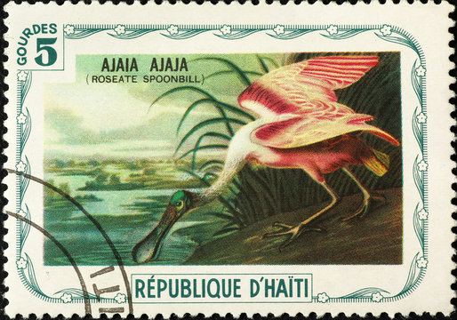 Roseate spoonbill painted by Audobon on postage stamp