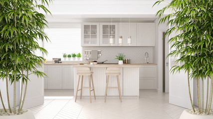 Zen interior with potted bamboo plant, natural interior design concept, classic kitchen with wooden and white details, minimalistic architecture © ArchiVIZ
