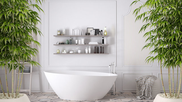 Zen interior with potted bamboo plant, natural interior design concept, scandinavian bathroom, classic white vintage architecture