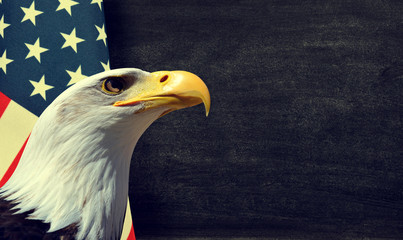 Fototapeta premium Bielik i flaga amerykańska z miejsca na kopię.