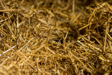 A pile of straw in the stable