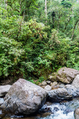 Rapids of Rio Hornito river and a jungle in Panama