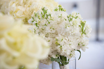 white flower wedding event party elegant simple clean luxury alive aromatic smell spring bloom