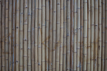 bamboo wall background .