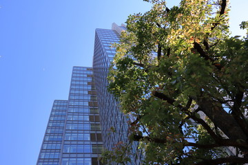 Fototapeta na wymiar view of buildings in Tokyo area