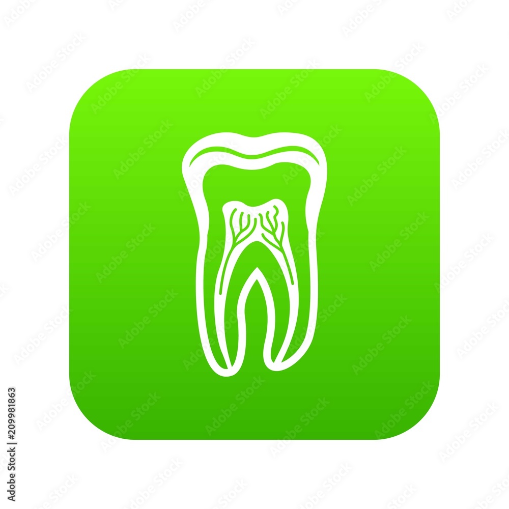 Poster tooth structure icon. simple illustration of tooth structure vector icon for web