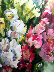 Abstract bright colored decorative background . Floral pattern handmade . Beautiful tender romantic spring bouquet of gladiolus flowers  , made in the technique of watercolors from nature.