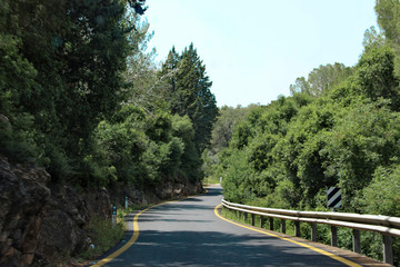 road between the forest in the mountains