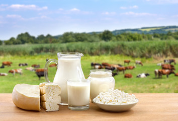 Milk, sour cream, cheese and cottage cheese on wooden table on background of meadow with cows