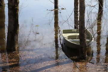 Lake, trees in water during flood and boat in a day of a spring