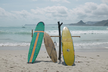 surf