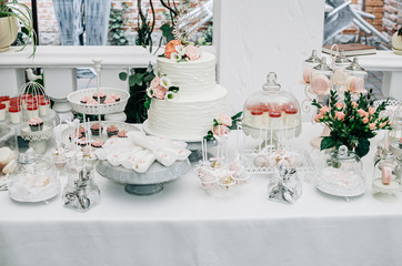 Two-tier wedding cake and Cake pops at a wedding