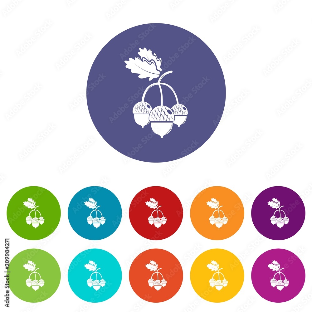 Poster acorn icons color set vector for any web design on white background