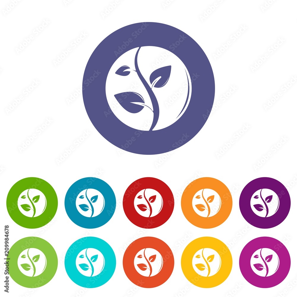 Poster sprout icons color set vector for any web design on white background