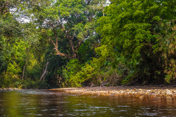 A beautiful scenery of the old rainforest and the sun-exposed pebbly riverbed of Tahan River in Taman Negara National Park, Pahang, Malaysia.