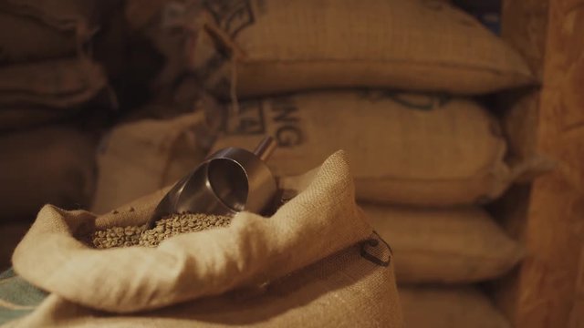 Coffee beans, view of opened bag with raw coffee beans.
