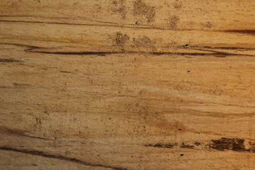 красивый фон из деревянной структуры из рельефного дерева          © Valentina A