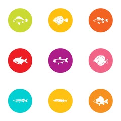 Fish day icons set. Flat set of 9 fish day vector icons for web isolated on white background