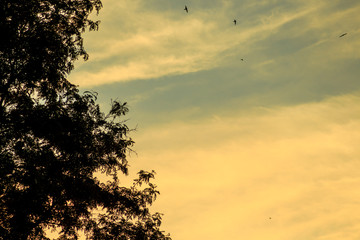 Evening landscape with contrasting sunset skies. Abstract nature background.