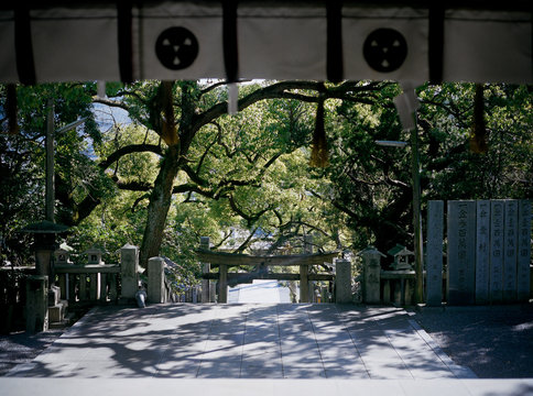 参道