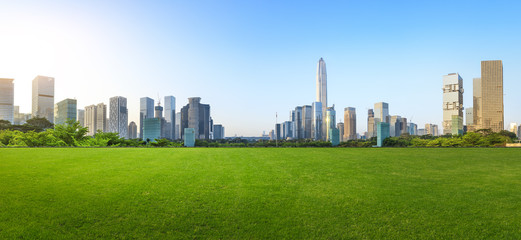 Green grass and modern city skyline scenery in Shenzhen