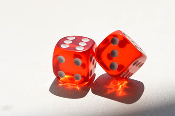 Dice on a white background . Game concept. Games of chance