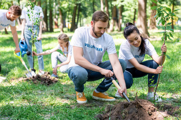 Naklejka na ściany i meble young volunteers planting new trees in park