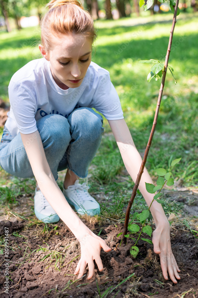 Wall mural beautiful young volunteer planting new tree